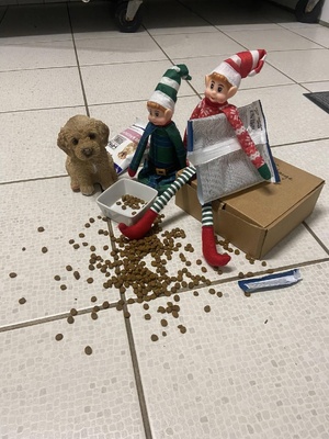 La folie des lutins farceur La folie des lutins farceur