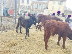 Foire du printemps réussie à Trets Foire du printemps réussie à Trets