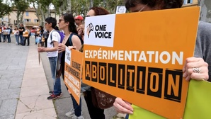 Rousset – Manifestation contre l’extension du centre de primatologie du CNRS Rousset – Manifestation contre l’extension du centre de primatologie du CNRS