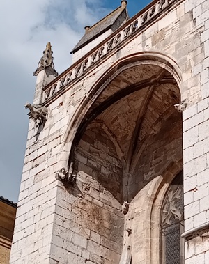 Les Gargouilles de la Basilique de Saint-Maximin : Mystères de pierre et mémoire du Moyen Âge Les Gargouilles de la Basilique de Saint-Maximin : Mystères de pierre et mémoire du Moyen Âge