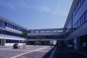 Insectes dans le riz à la cantine du collège du Luc : une enquête ouverte