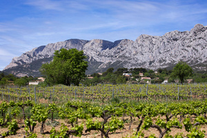 Photo DR/Puyloubier-Sainte-Victoire