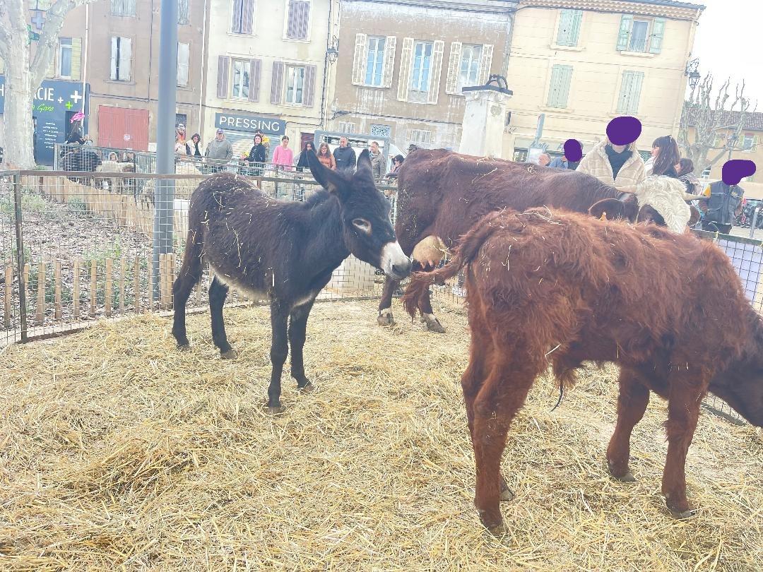 Foire du printemps réussie à Trets Foire du printemps réussie à Trets