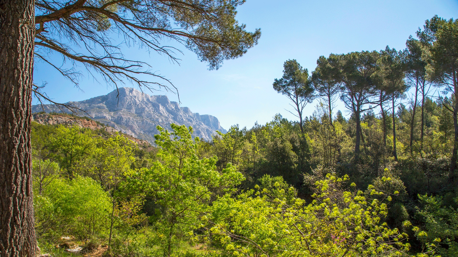 Sainte-Victoire sous haute tension : un massif sous la garde de tous face à la menace incendie