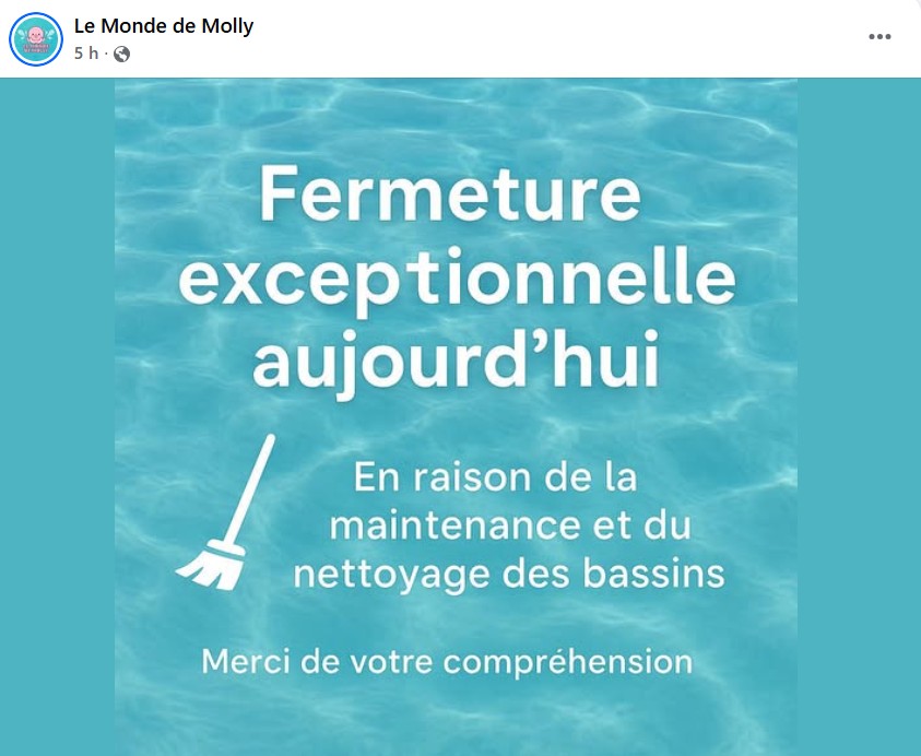 Page FaceBook Le Monde de Molly