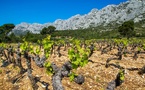 Les vins de la Sainte-Victoire, classés premier cru des côtes de Provence. Les vins de la Sainte-Victoire, classés premier cru des côtes de Provence.