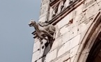 Les Gargouilles de la Basilique de Saint-Maximin : Mystères de pierre et mémoire du Moyen Âge