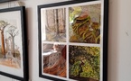 Un Festival de Couleurs et de Talents : Succès Retentissant pour l'Exposition des Dessins de la des A.I.L de Rousset !