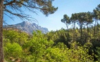 Sainte-Victoire sous haute tension : un massif sous la garde de tous face à la menace incendie
