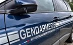 Gardanne : il s’invite chez une mamie… pour piquer un somme ! Gardanne : il s’invite chez une mamie… pour piquer un somme !