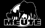 Politiques : tous à la meute